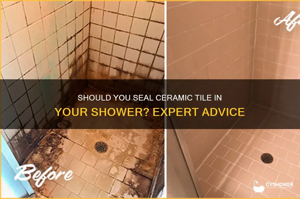 do i need to seal ceramic tile in a shower