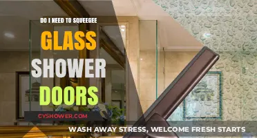 Squeegee Shower Doors: Essential or Optional for Spotless Glass?