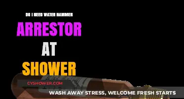 Water Hammer Arrestor for Showers: Essential or Optional?