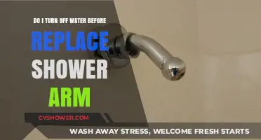 How to Safely Replace a Shower Arm: Turn Off Water First?