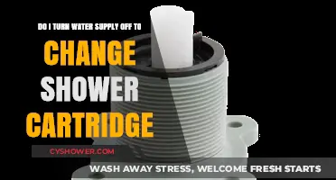 Should You Turn Off Water Supply When Replacing Shower Cartridge?