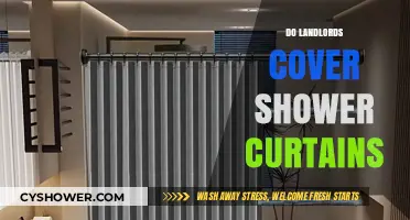Who Pays for Shower Curtains: Landlord or Tenant Responsibility Explained