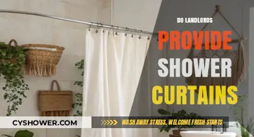 Do Landlords Provide Shower Curtains? Rental Essentials Explained