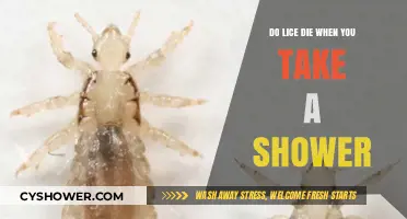 Showering and Lice: Does Water Kill Them or Do They Survive?