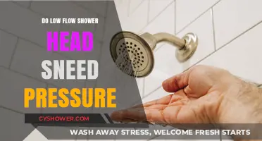 Low Flow Shower Heads: Do They Really Need High Pressure?