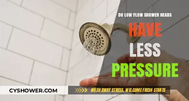 Low Flow Shower Heads: Do They Sacrifice Pressure for Efficiency?