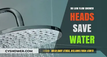 Low Flow Shower Heads: Effective Water-Saving Solution or Myth?