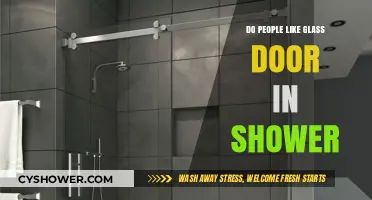 Glass Shower Doors: Are They a Hit or Miss with Homeowners?
