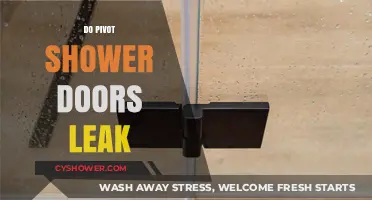 Do Pivot Shower Doors Leak? Causes, Prevention, and Solutions