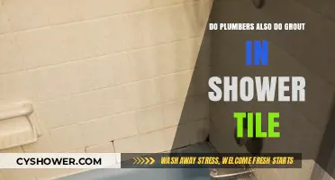 Can Plumbers Handle Shower Tile Grout Repairs and Maintenance?