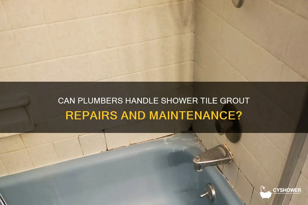 do plumbers also do grout in shower tile