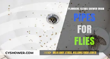 Do Plumbers Clean Shower Drains to Eliminate Persistent Fly Infestations?