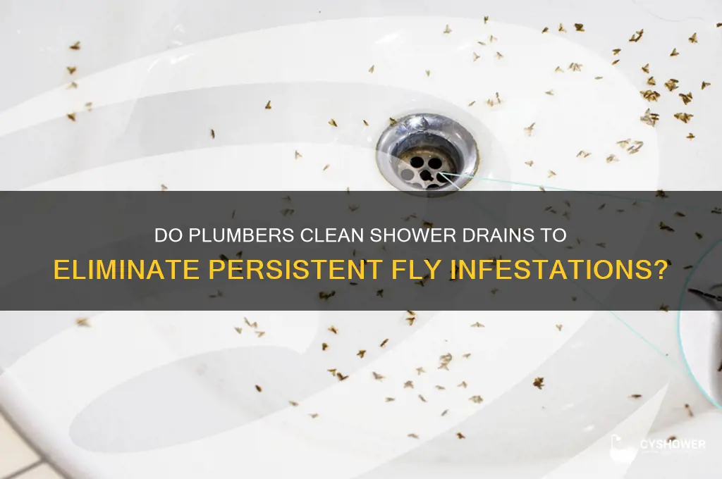 do plumbers cleans shower drain pipes for flies