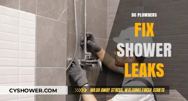 Can Plumbers Repair Shower Leaks? Expert Insights and Solutions