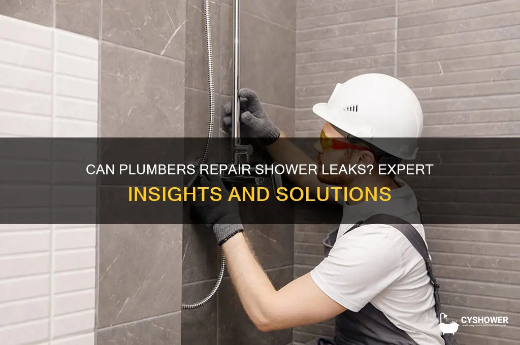 do plumbers fix shower leaks