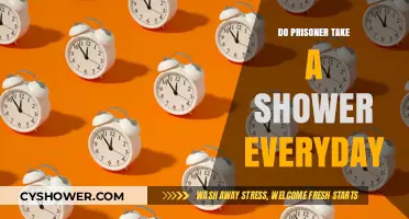 Daily Showers in Prison: Fact or Fiction? Exploring Inmate Hygiene