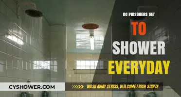 Daily Showers in Prison: Fact or Myth? Exploring Inmate Hygiene