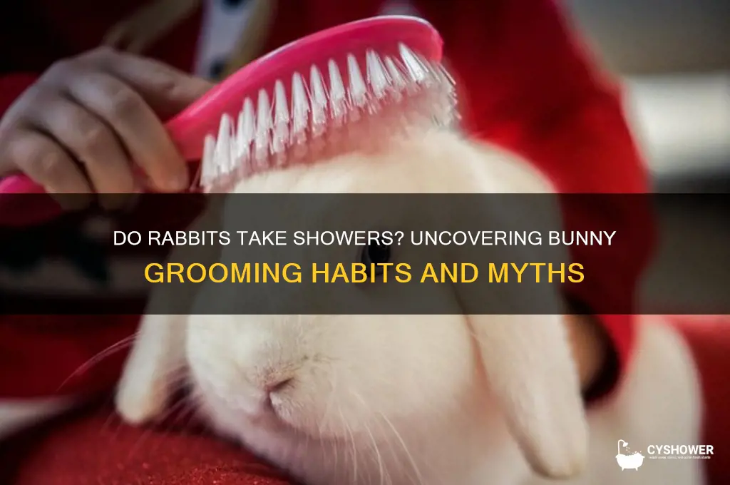 do rabbits take a shower