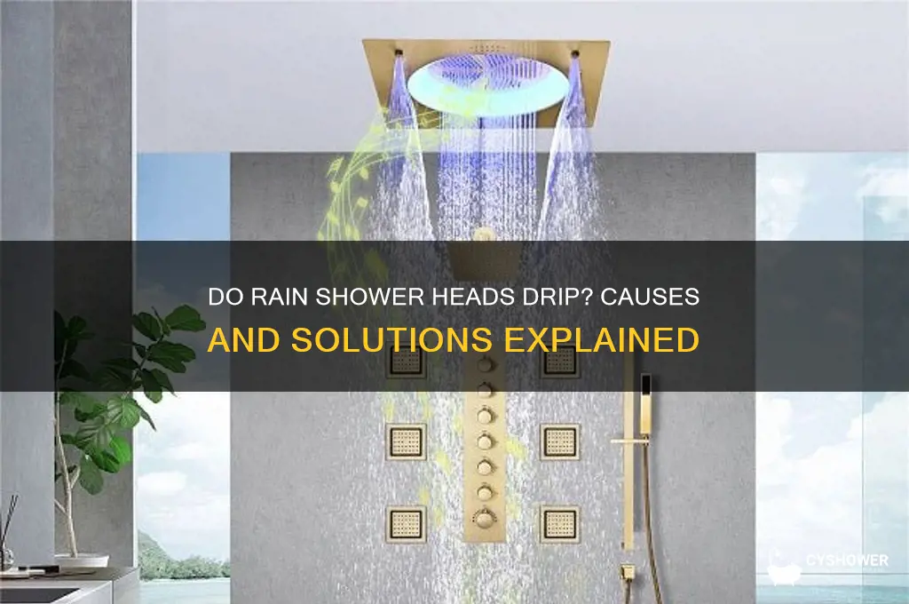 do rain shower heads drip