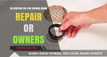 Who Pays for Shower Drain Repair: Renters or Property Owners?