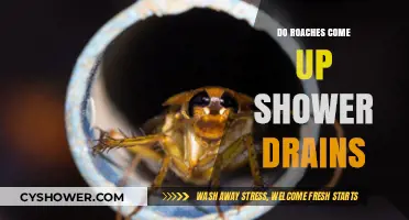 Can Roaches Climb Up Shower Drains? Facts and Prevention Tips