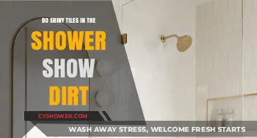 Shiny Shower Tiles: Do They Really Hide Dirt Effectively?