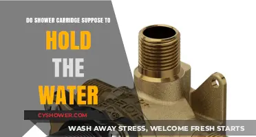 Understanding Shower Cartridges: Are They Designed to Hold Water?