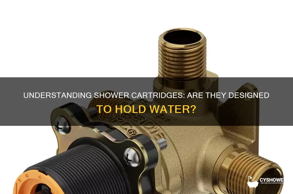 do shower carridge suppose to hold the water