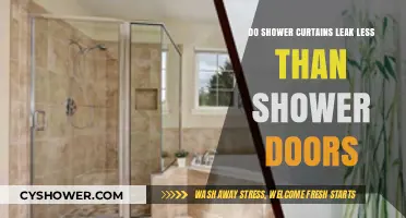 Shower Curtains vs. Doors: Which Leaks Less Water?