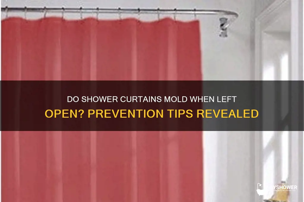do shower curtains mold when they are left open