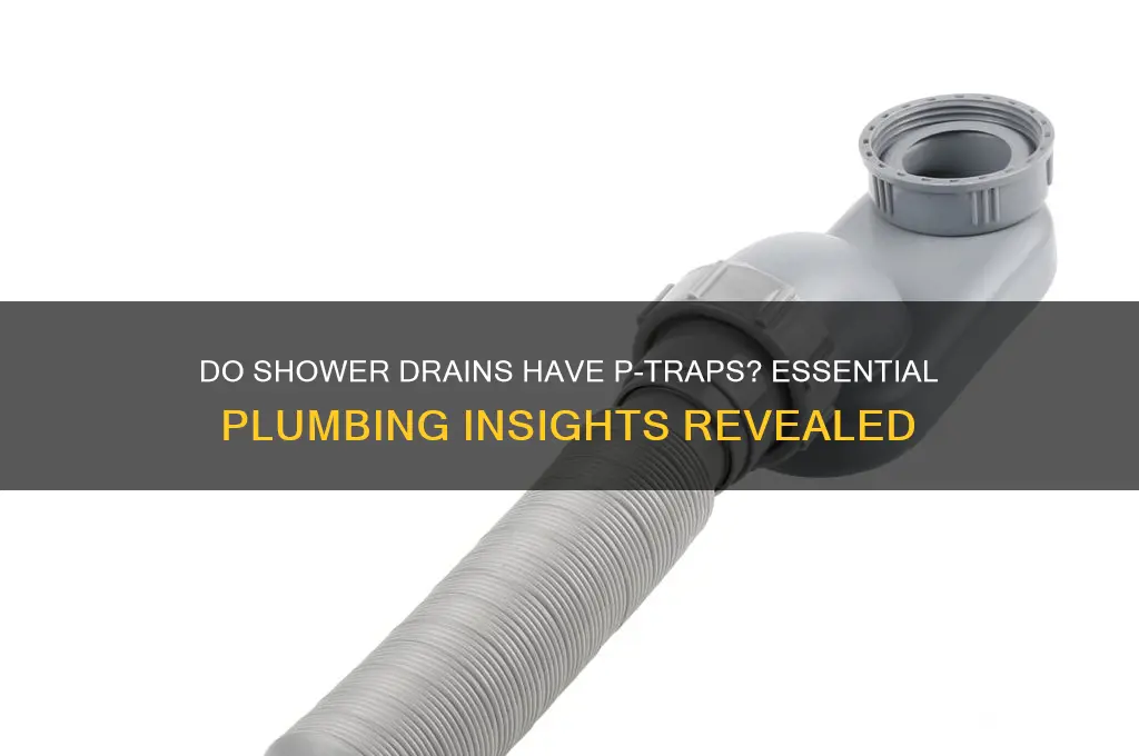 do shower drains have p traps