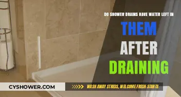 Why Shower Drains Retain Water After Draining: Causes and Solutions