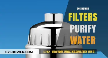 Do Shower Filters Purify Water? Unveiling the Truth Behind Clean Showers