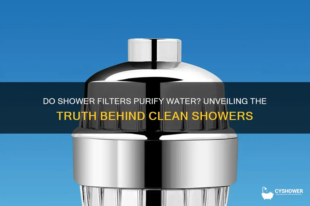 do shower filters purify water