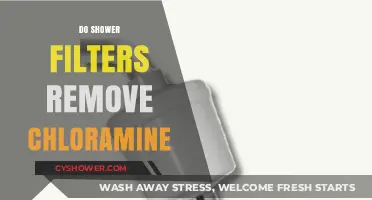 Do Shower Filters Effectively Remove Chloramine? A Comprehensive Guide