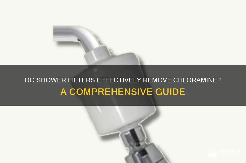do shower filters remove chloramine