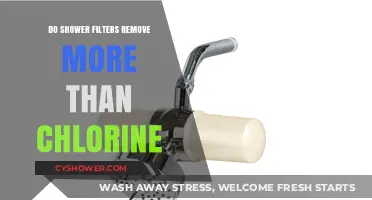 Shower Filters: Beyond Chlorine Removal – What Else Do They Eliminate?