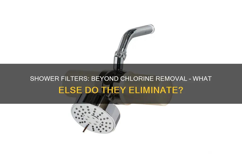 do shower filters remove more than chlorine