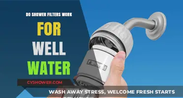 Do Shower Filters Effectively Purify Well Water? A Comprehensive Guide