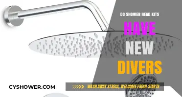 Exploring Shower Head Kits: Do They Include New Diver Components?
