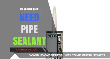 Should You Use Pipe Sealant on Your Shower Head? Expert Tips