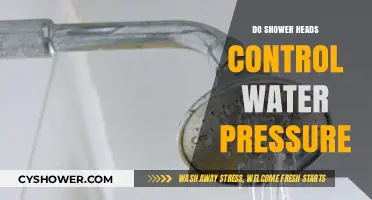 Shower Heads and Water Pressure: Do They Control the Flow?