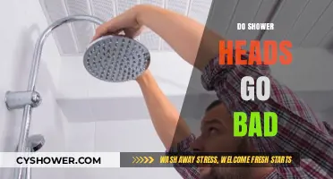 Do Shower Heads Expire? Signs It's Time for a Replacement
