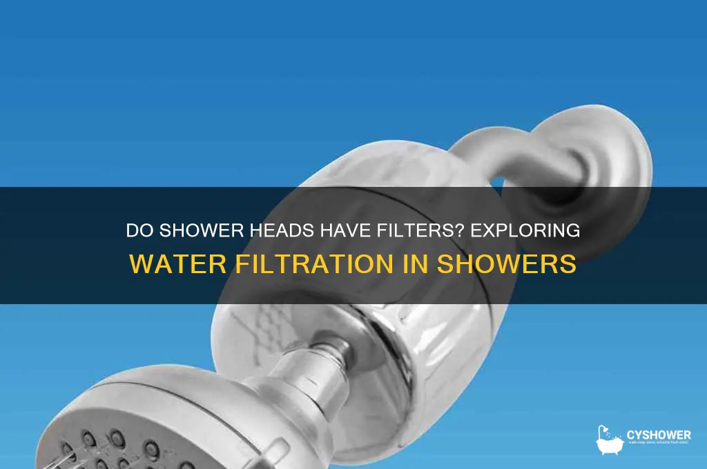 do shower heads have a fileter