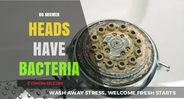 Shower Heads and Bacteria: Uncovering Hidden Health Risks in Your Bathroom