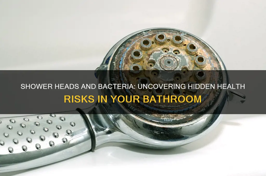 do shower heads have bacteria