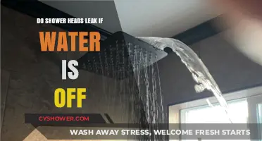 Can Shower Heads Leak When the Water Supply is Turned Off?