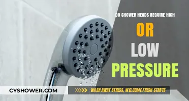 High or Low Pressure: What’s Best for Your Shower Head?