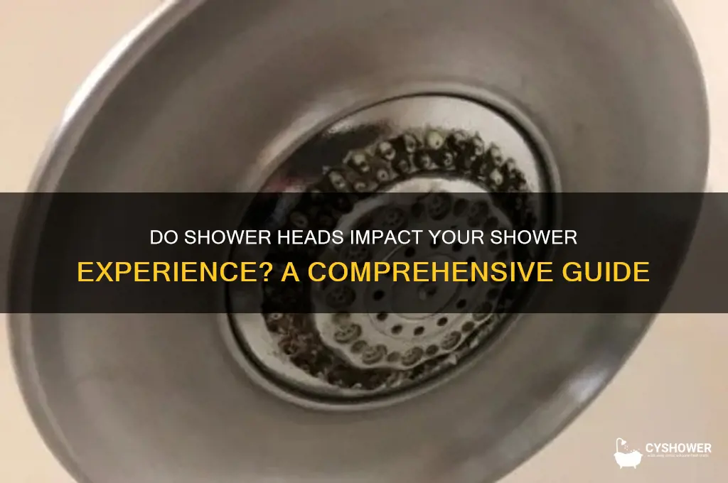 do shower heads you take a shower