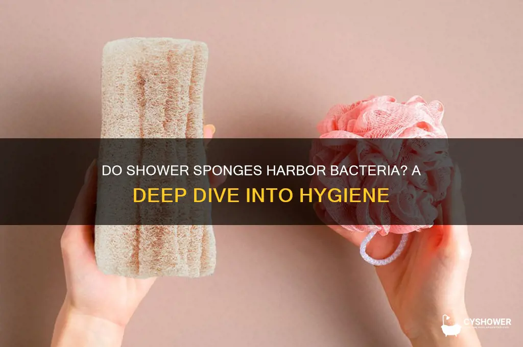 do shower sponges get dirty